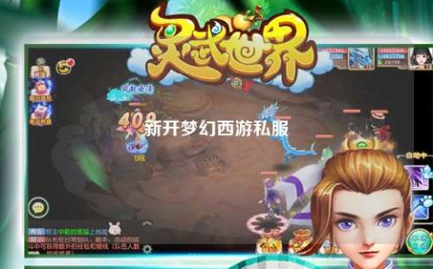 新开梦幻西游私服